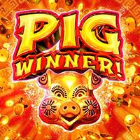 Pig Winner